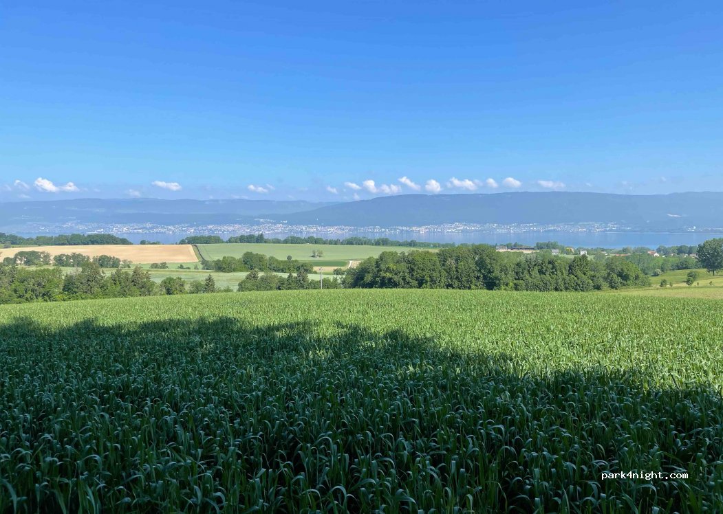 (1588) Cudrefin - 1 Chemin de la Côte du Haut — foto 2
