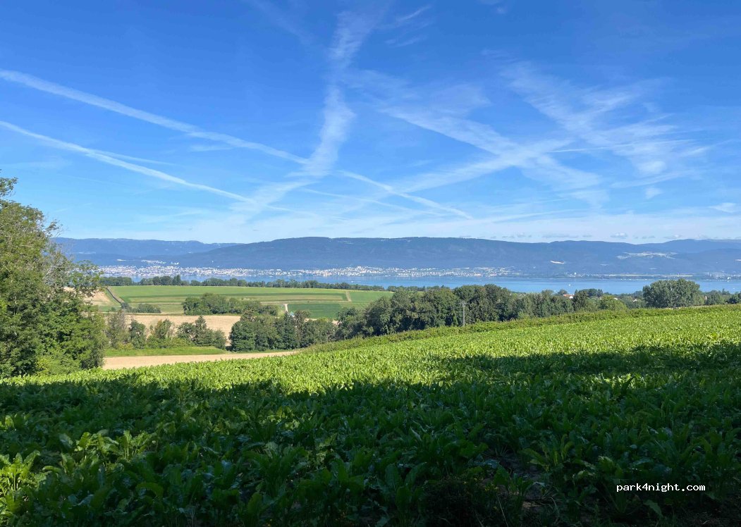 (1588) Cudrefin - 1 Chemin de la Côte du Haut — foto 4