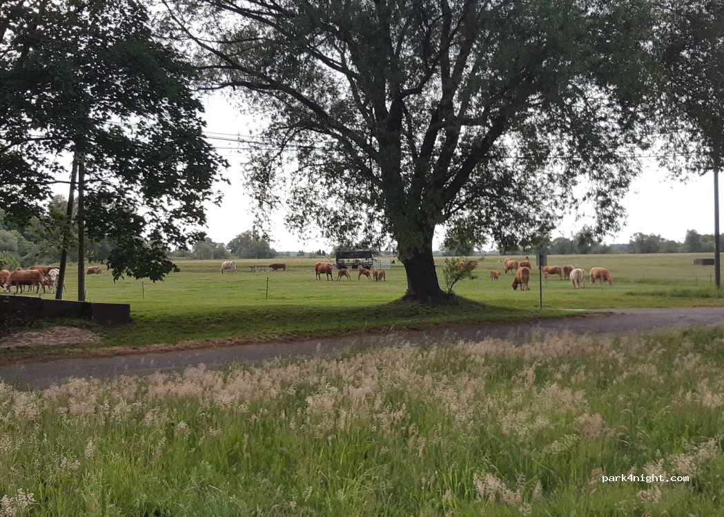 (04838) Laußig - 49 Fährhäuser — foto 3