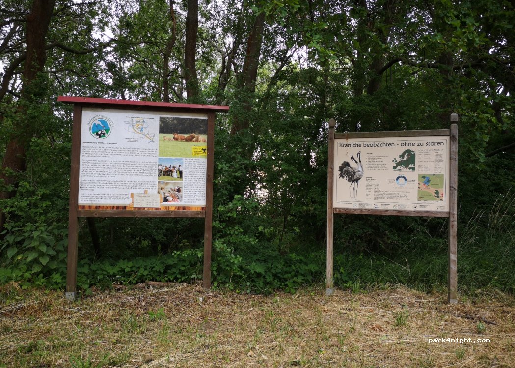 (16833) Fehrbellin - Kuhhorster Weg — foto 2