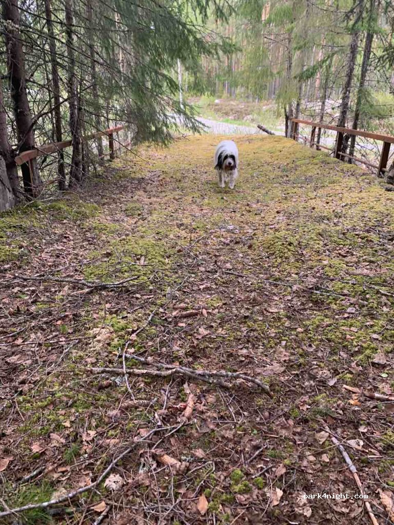 (3691)  - Gransheradvegen — foto 3