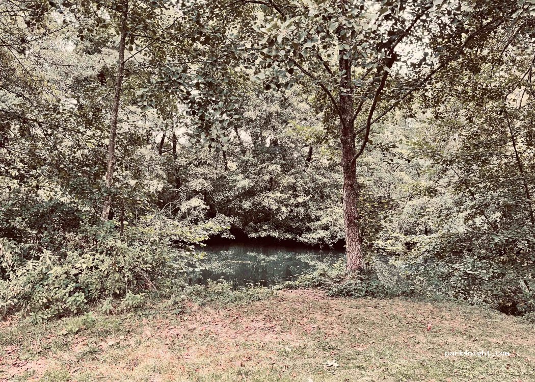 (86400) Saint-Saviol - Roche — foto 4