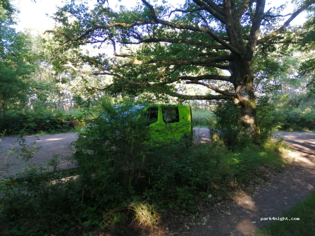 (36290) Saint-Michel-en-Brenne - D17 — foto