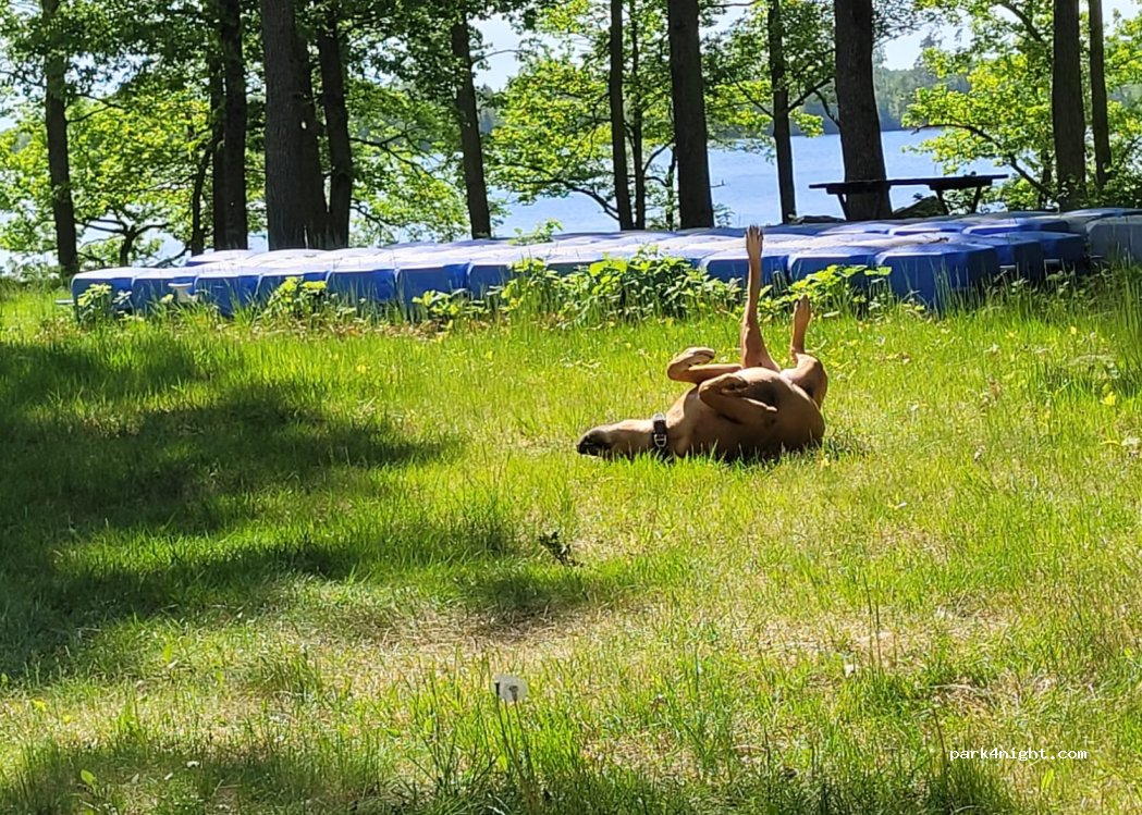 Bolmsö Ställplats & Hytter — foto 4