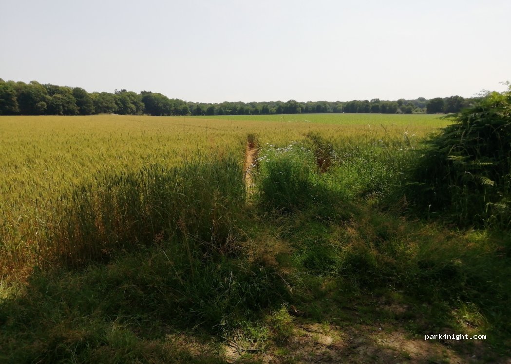 (35630) Hédé-Bazouges - Le Petit Bourg — foto 4