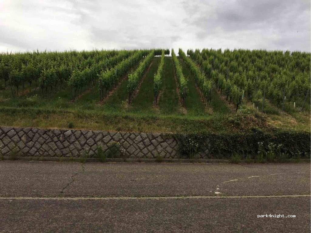 (76534) Baden-Baden - 15 Klosterbergstraße — foto 2
