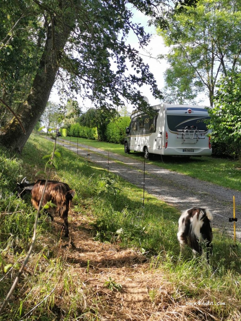 La chouette escale le Mesnil — foto 2