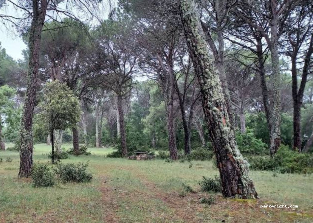 () Budia - Unnamed Road — foto