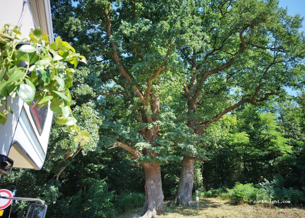 (345 02) Kout na Šumavě - — foto 4