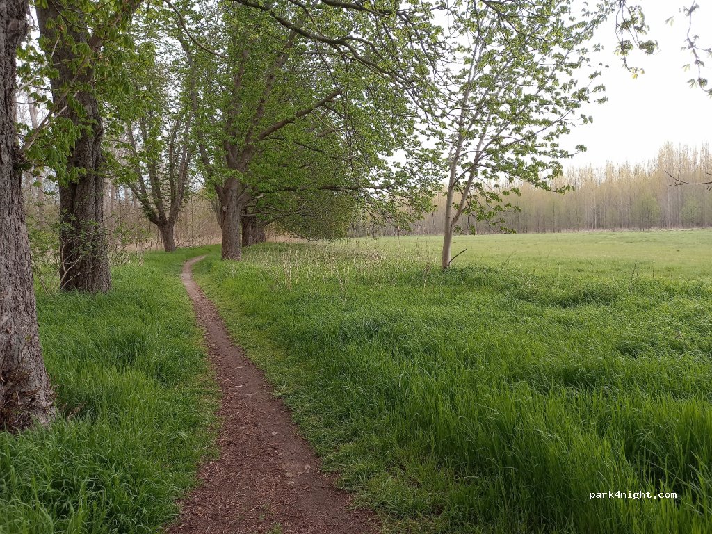 (14641) Nauen - 35A Graf-Arco-Straße — foto 3