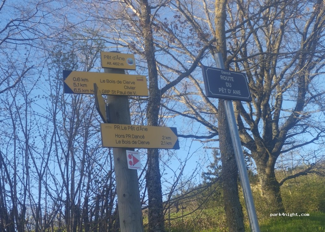 (42260) Dancé - Bois de Cierve — foto 4