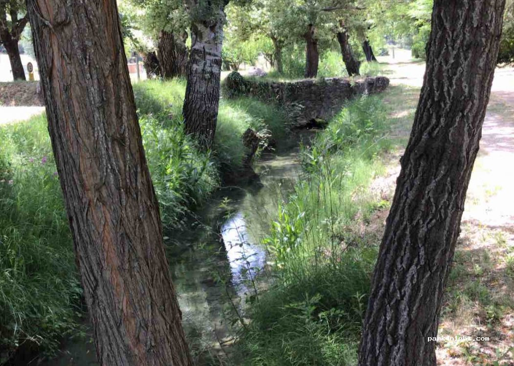 Camping Regain — foto 3
