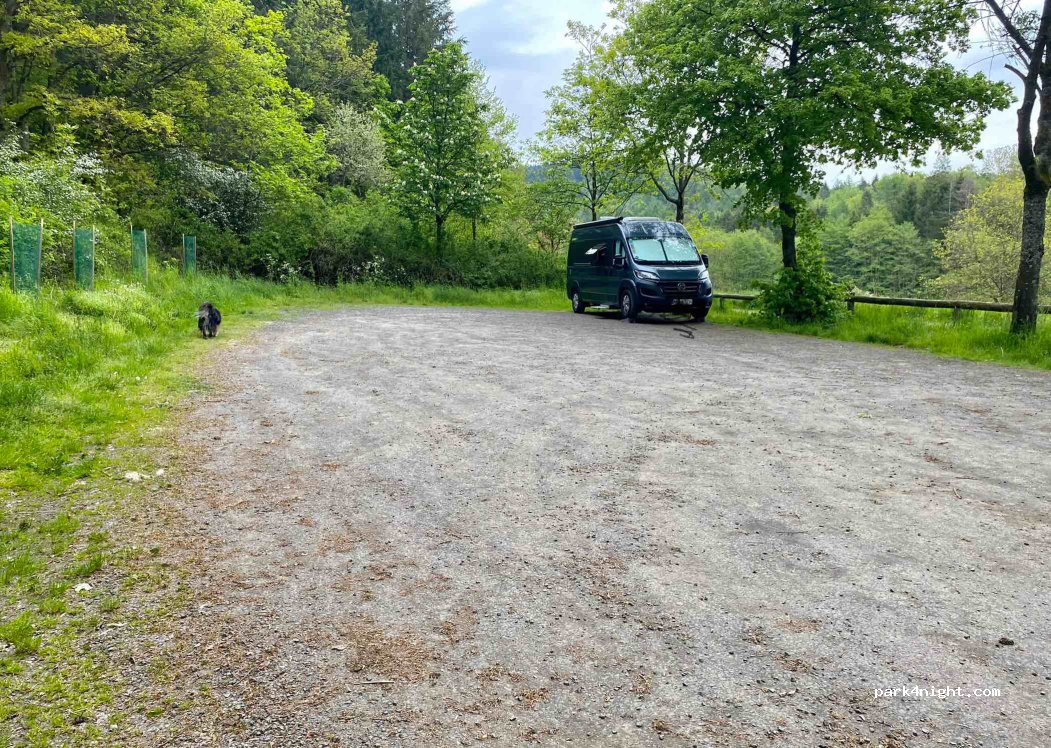 (35216) Biedenkopf - 14 Am Roten Stein — foto 4