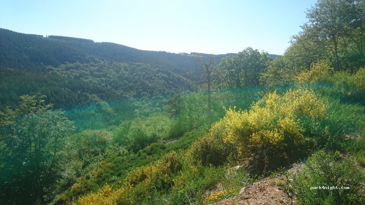 (42660) Le Bessat - Ney — foto