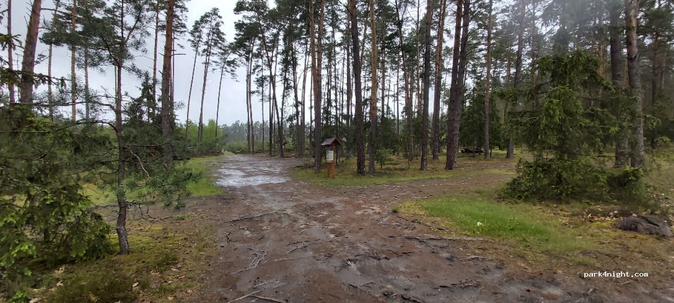 (23) Józefów - Droga Wojewódzka 849 — foto