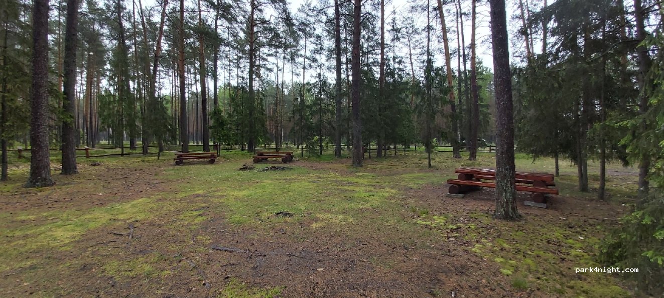 (23) Józefów - Droga Wojewódzka 849 — foto 3