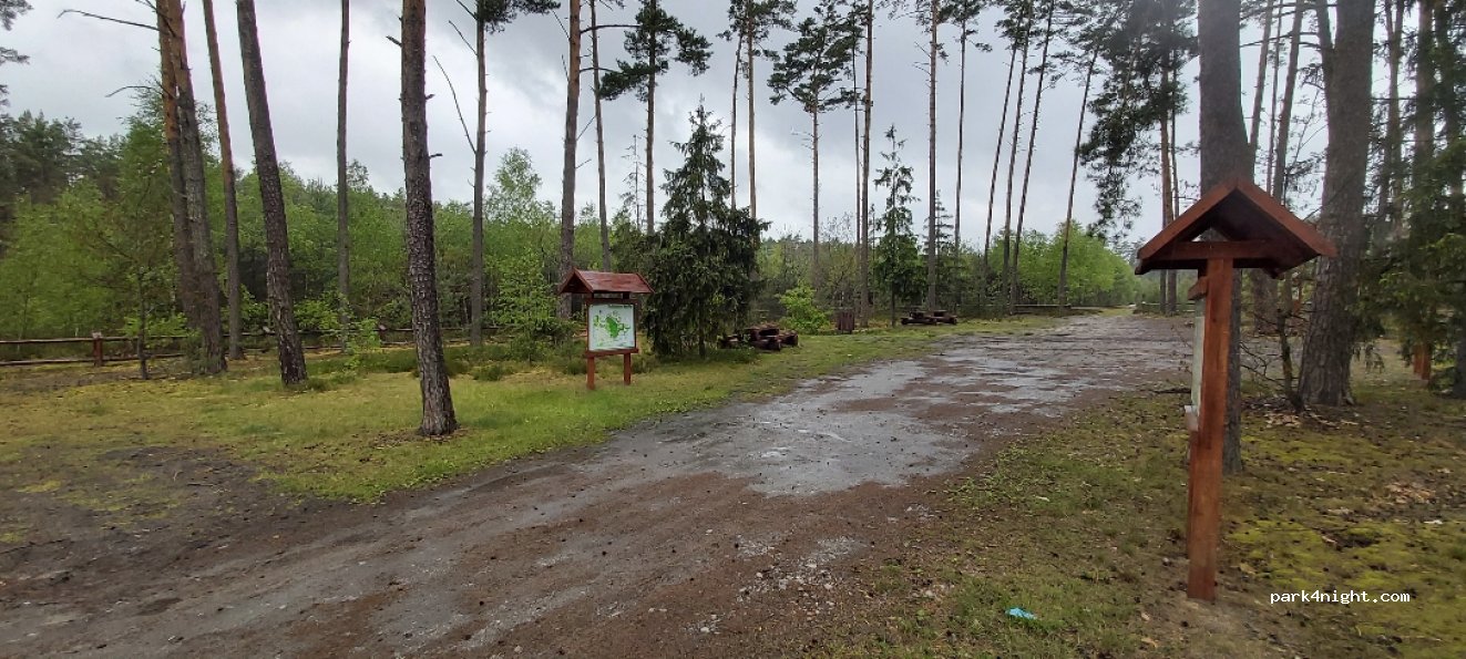 (23) Józefów - Droga Wojewódzka 849 — foto 4