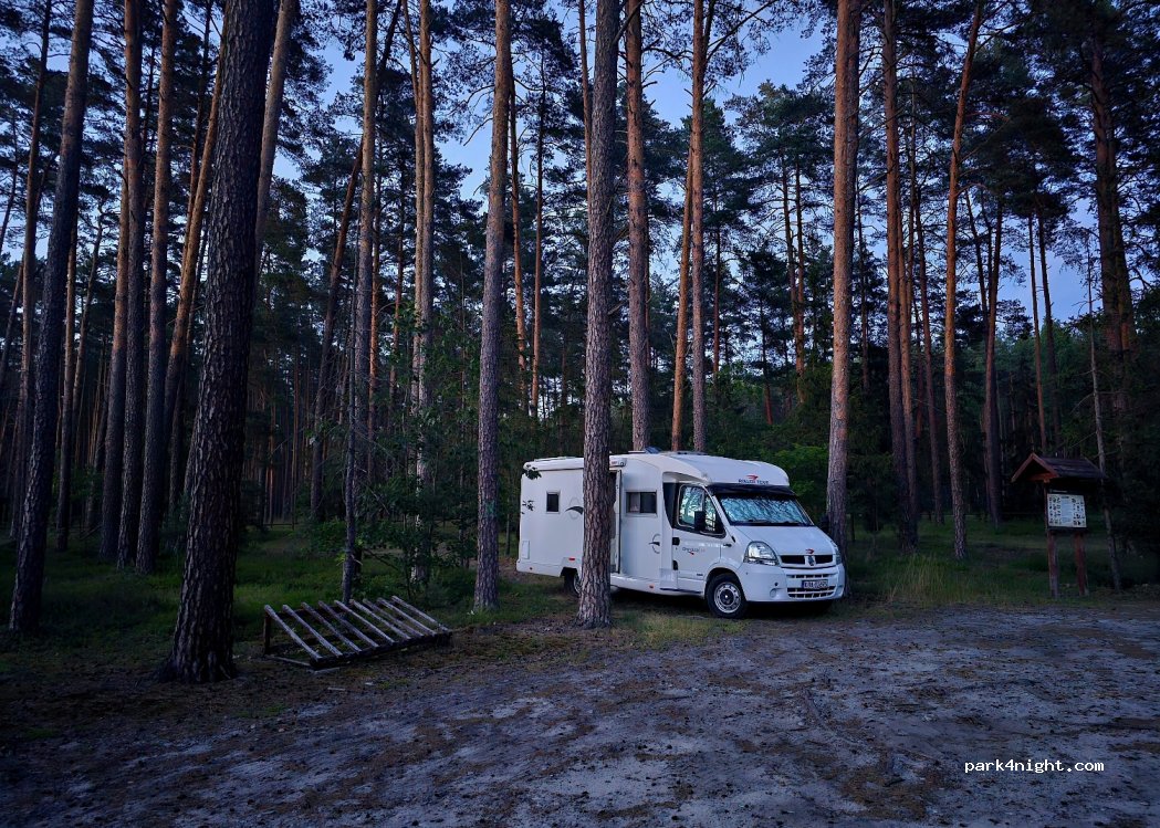 (23) Józefów - Droga Wojewódzka 849 — foto 5