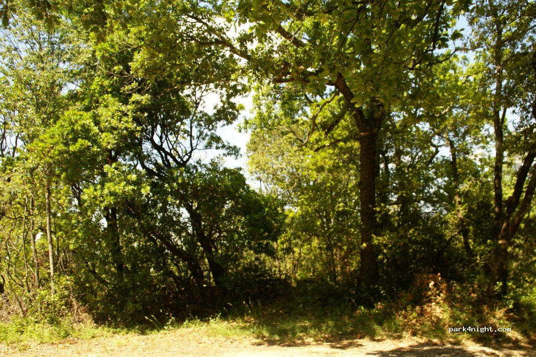 (30200) Saint-Laurent-de-Carnols - Unnamed Road — foto