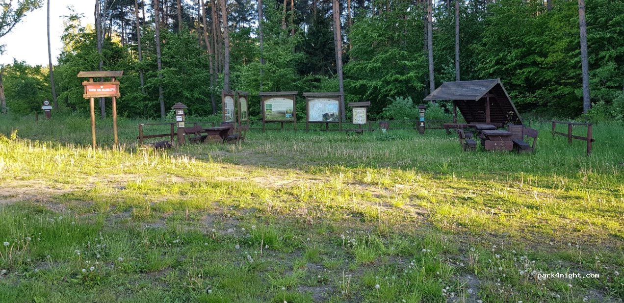 (78-551) Piaseczno - Unnamed Road — foto