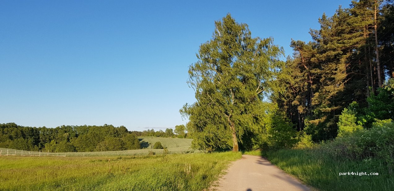 (78-551) Piaseczno - Unnamed Road — foto 2