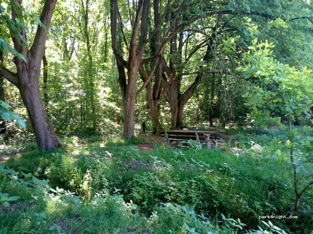 (9756 TJ) Glimmen - 50 Hoge Hereweg — foto 2