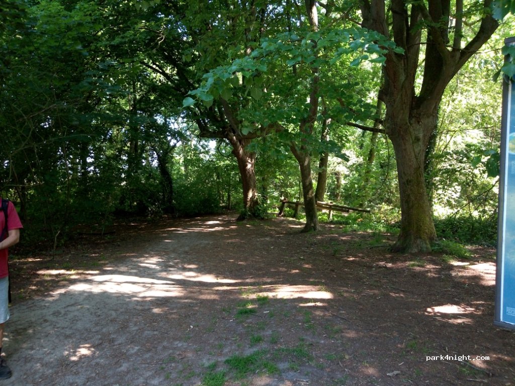 (9756 TJ) Glimmen - 50 Hoge Hereweg — foto 3