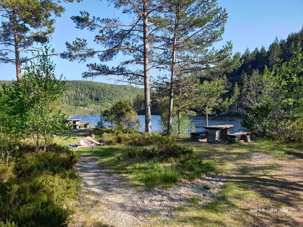 (4830) Hynnekleiv - 5 Primær Fylkesveg 42 — foto 2