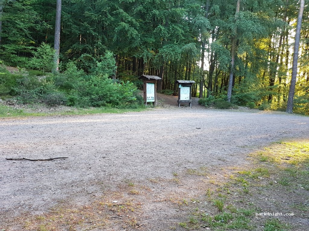 (67317) Altleiningen - 22 Am Klosterberg — foto 3