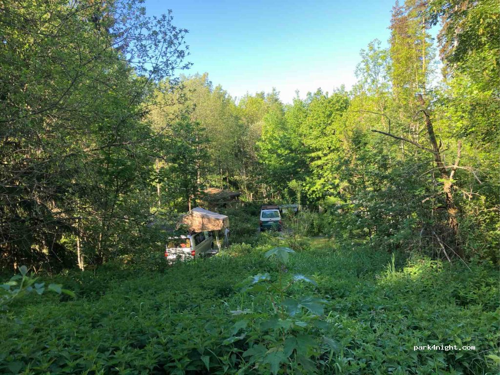 Schwarzwaldcamp — foto