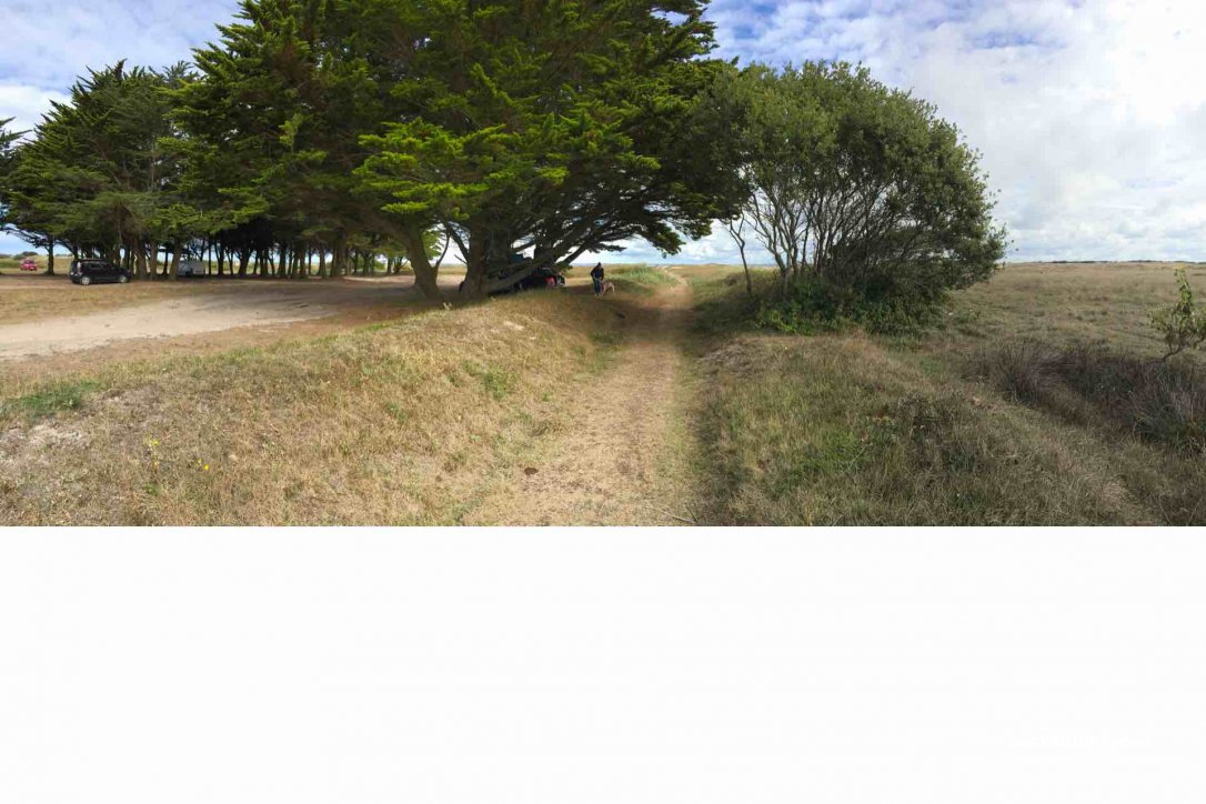 (29760) Penmarch - Chemin de Toul Gwin — foto 2