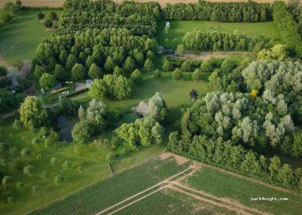 (4286 LB) Almkerk - 36-A Woudrichemseweg — foto 4
