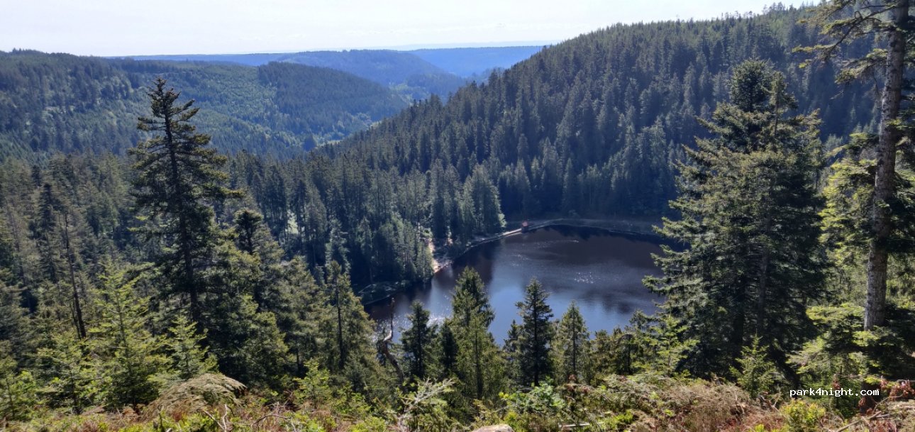 WOMO Schwarzwald — foto
