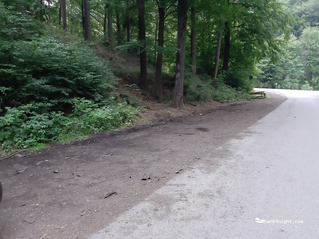 (38667) Bad Harzburg - Radau-Waterfall — foto