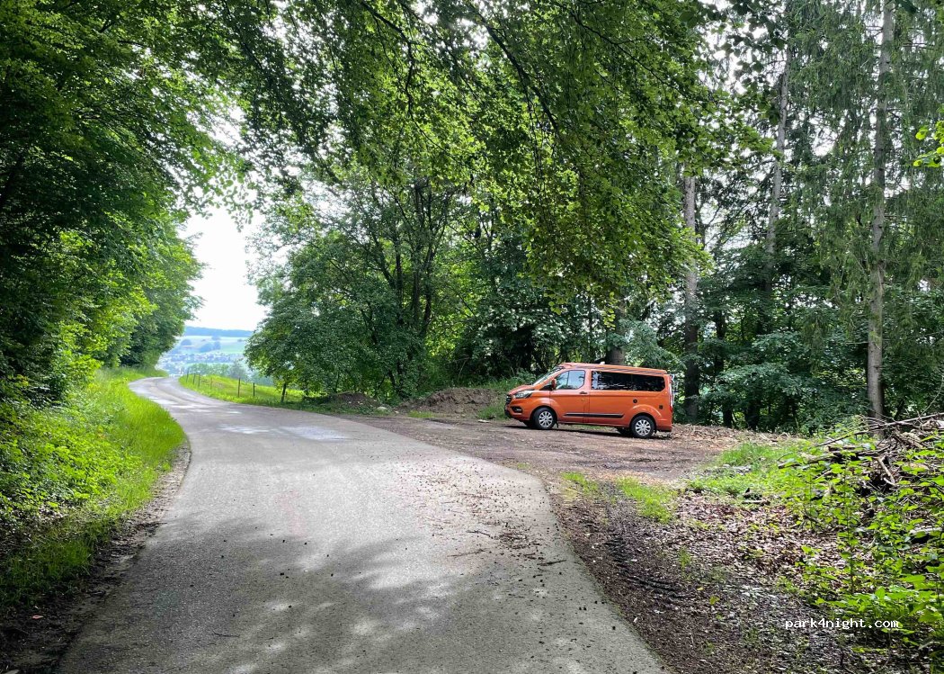 (1633) Marsens - 81 route du Villard — foto 4