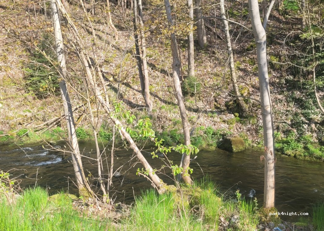 (08340) Schwarzenberg/Erzgebirge - 23 Karlsbader Straße — foto