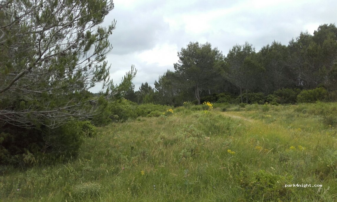 (34210) Azillanet - Unnamed Road — foto