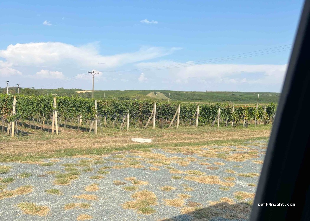 (691 02) Velké Bílovice - 663 Sadová — foto 4
