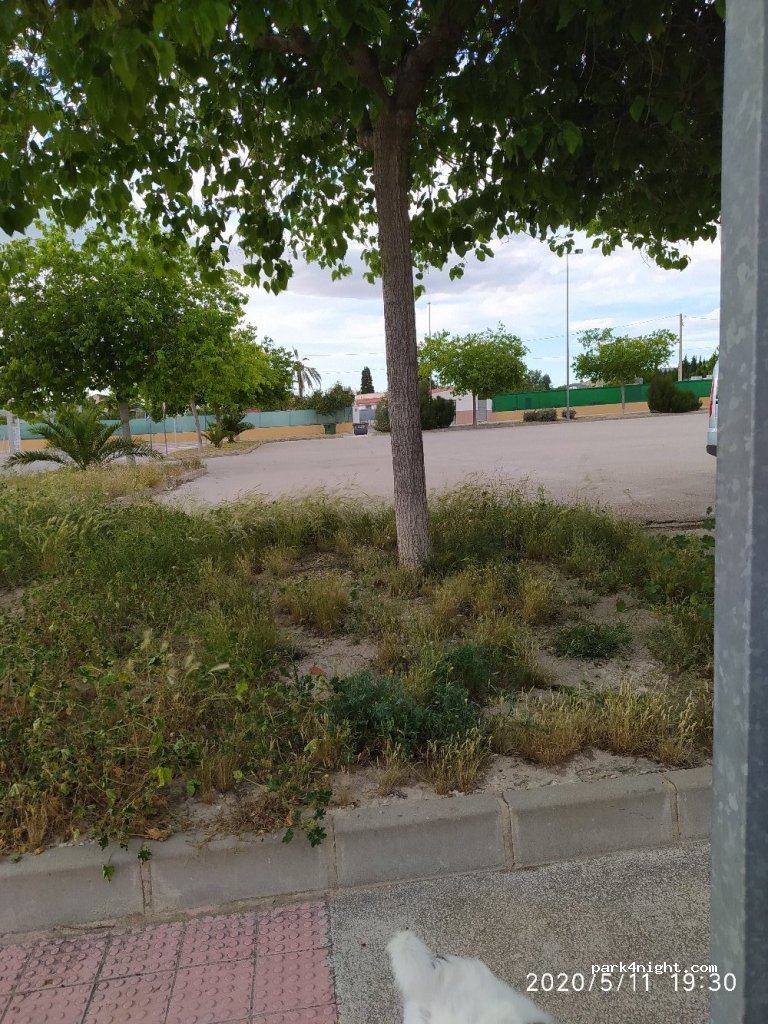 (03610) Petrer - 32A Avinguda de la Llibertat — foto
