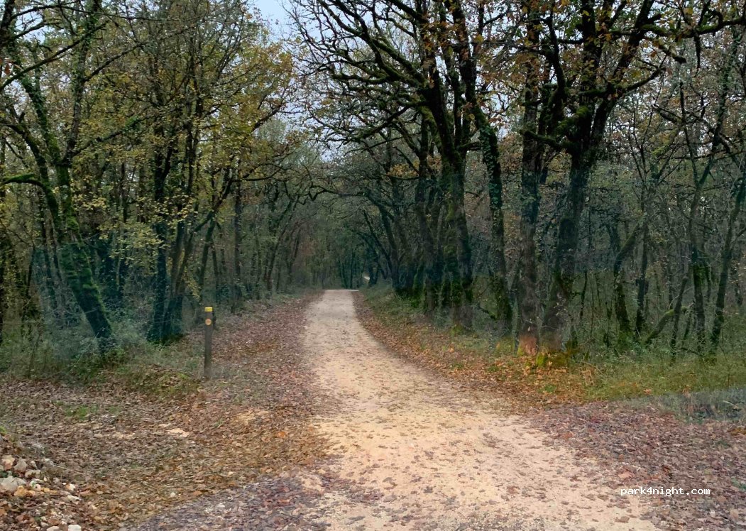 (24570) Condat-sur-Vézère - Unnamed Road — foto 3