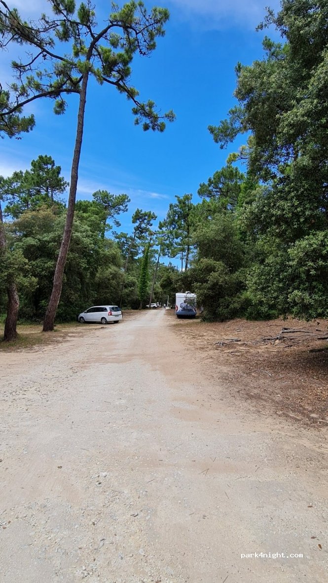 (17190) Saint-Georges-d'Oléron - 56 Route des Saumonards — foto 3