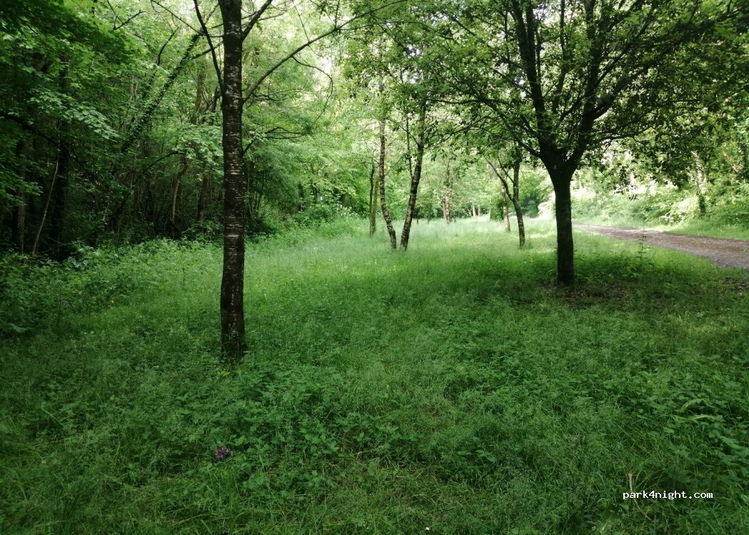 (17350) Fenioux - 2 Chantuzac — foto 4