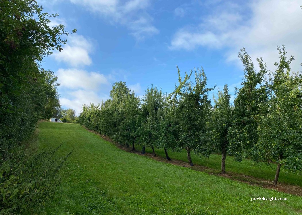 (14290) La Folletière-Abenon - Unnamed Road — foto 4