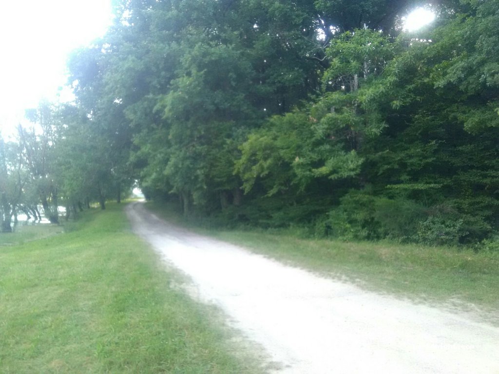 (82120) Gensac - Unnamed Road — foto 2