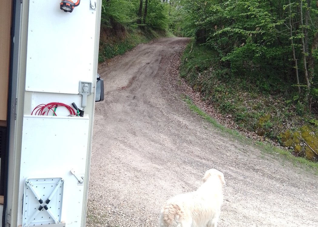 (82120) Gensac - Unnamed Road — foto 4