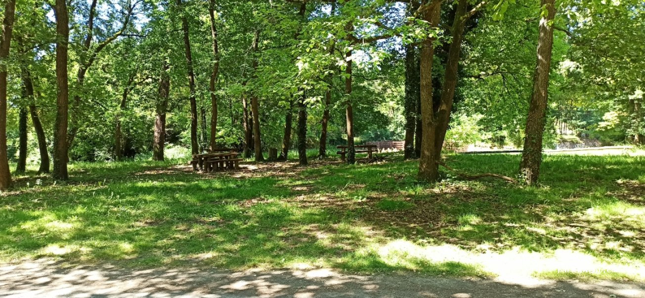 (49650) Brain-sur-Allonnes - La Crecillonnière — foto 2