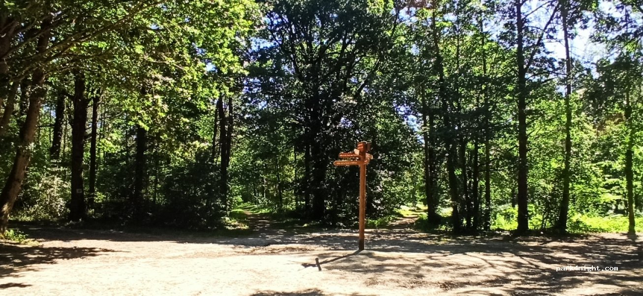 (49650) Brain-sur-Allonnes - La Crecillonnière — foto 4