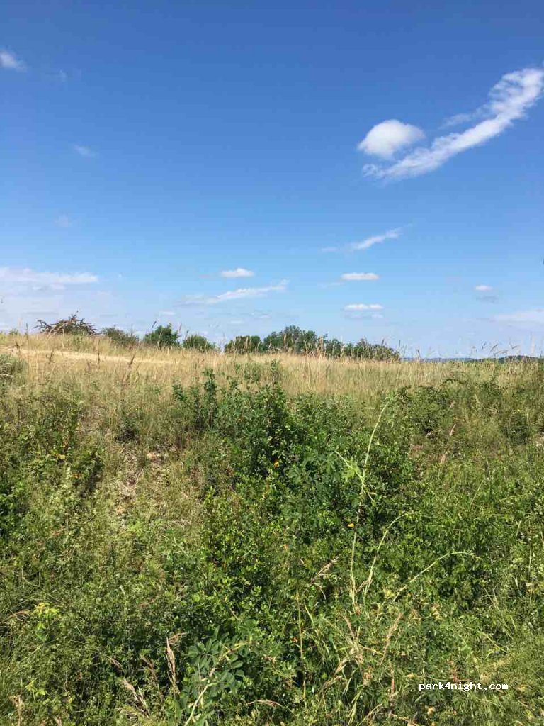 (46140) Albas - Paillade Ouest — foto 2