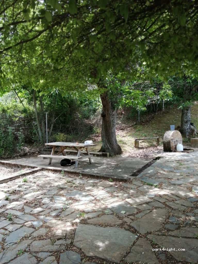 (10340) Castañar de Ibor - EX-118 — foto 2