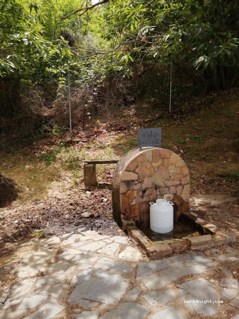 (10340) Castañar de Ibor - EX-118 — foto 3